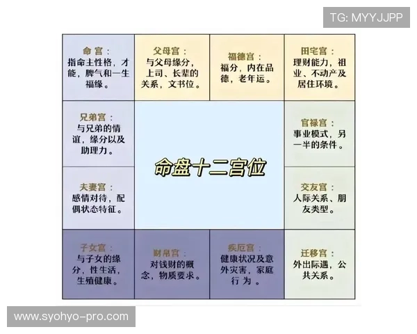 掌握轮盘赌的基本规则与玩法新手必看的入门指南